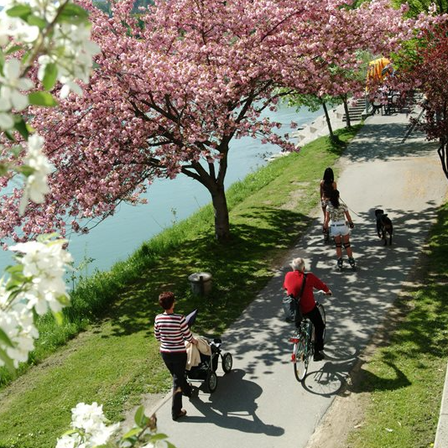 Bildschirmfoto2023-10-17um12.16.19