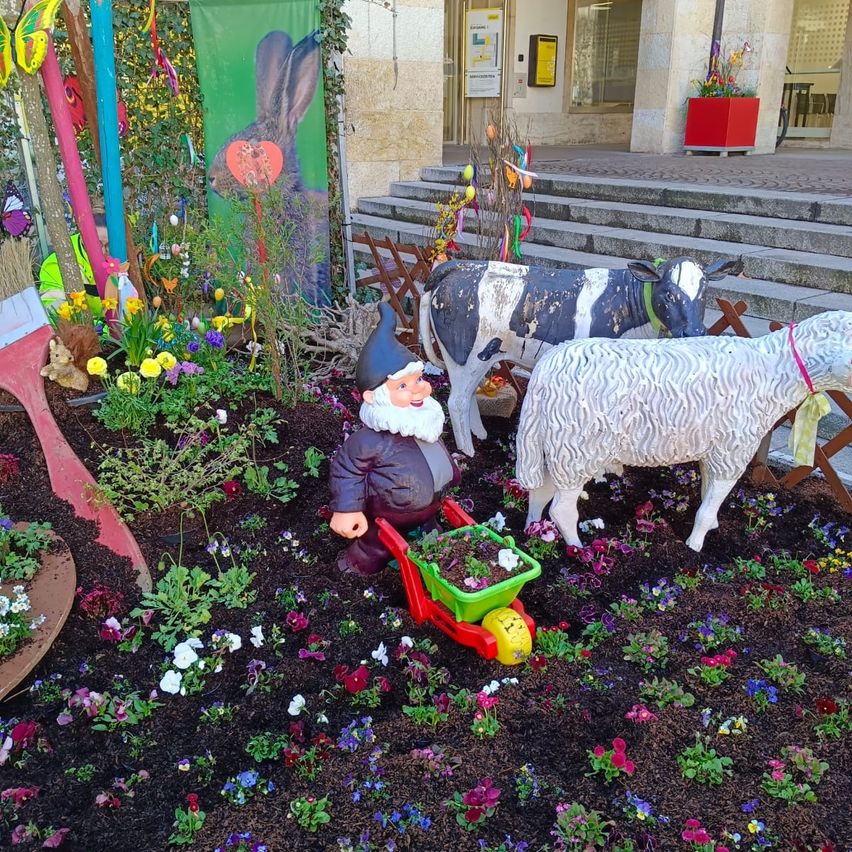 Bild enthält, Potted Plant, Jar, Planter, Pottery, Vase, Photography, Portrait, Herbal, Garden, Soil