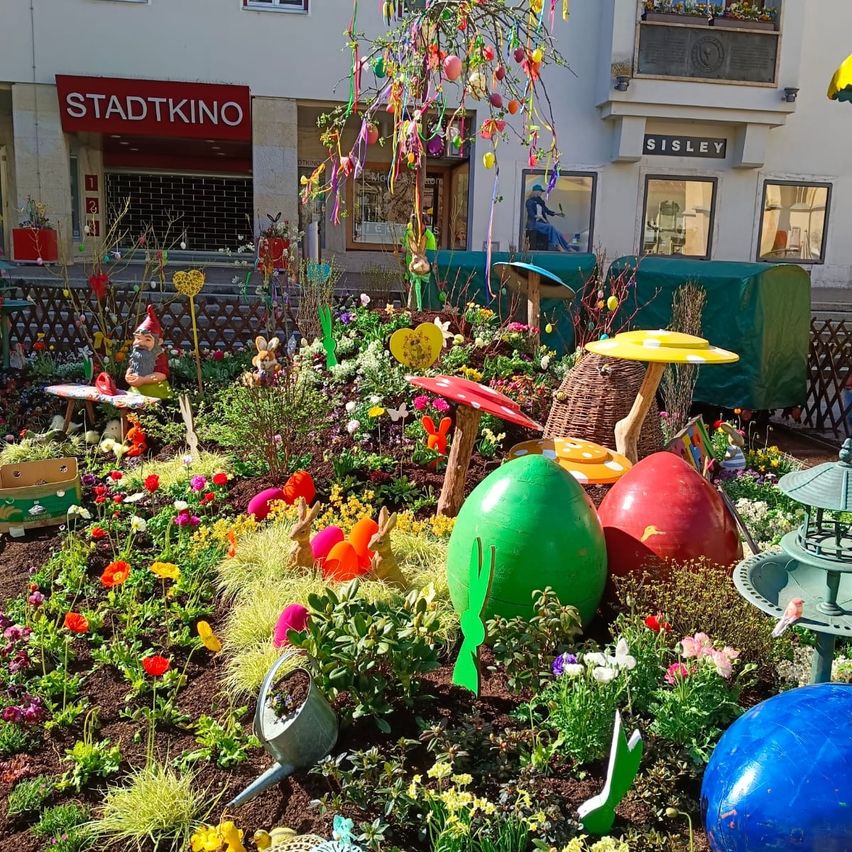 Bild enthält, Garden, Nature, Outdoors, Plant, Potted Plant, Person, Yard, Gardening