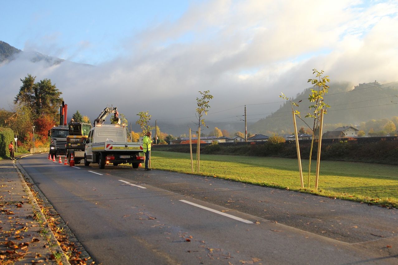 Ein LKW mit einem Kran steht am Straßenrand. Ein Arbeiter steht neben einem gepflanzten Baum.