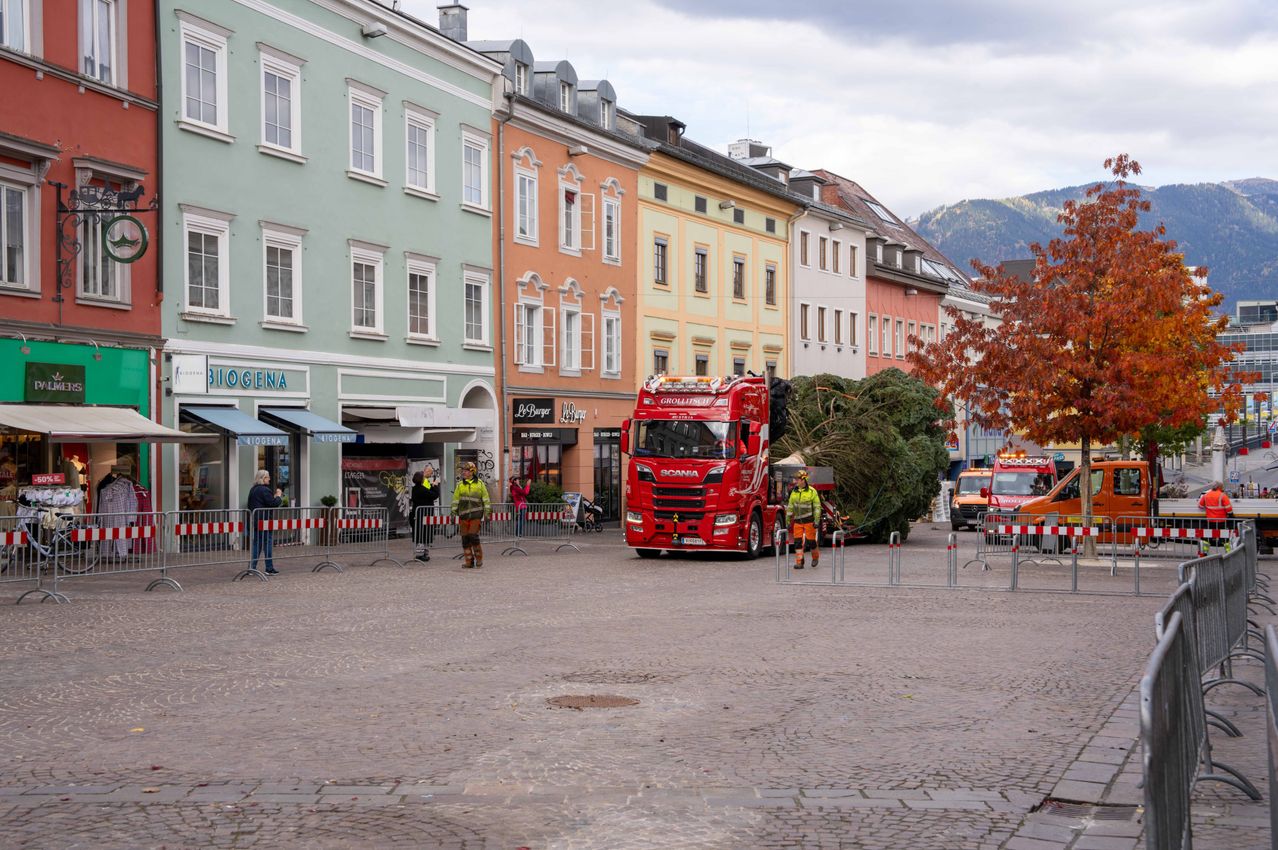Ein roter Lkw transportiert einen großen Weihnachtsbaum durch einen Stadtplatz, unterstützt von Arbeitern. Gebäude säumen die Straße, und Menschen beobachten von hinter Absperrungen aus.
