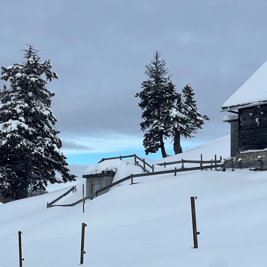 Eine verschneite Landschaft mit einer Holzhütte mit schneebedecktem Dach, in Schnee gedeckten Kiefern und einem teilweise im Schnee vergrabenen Holzzaun.