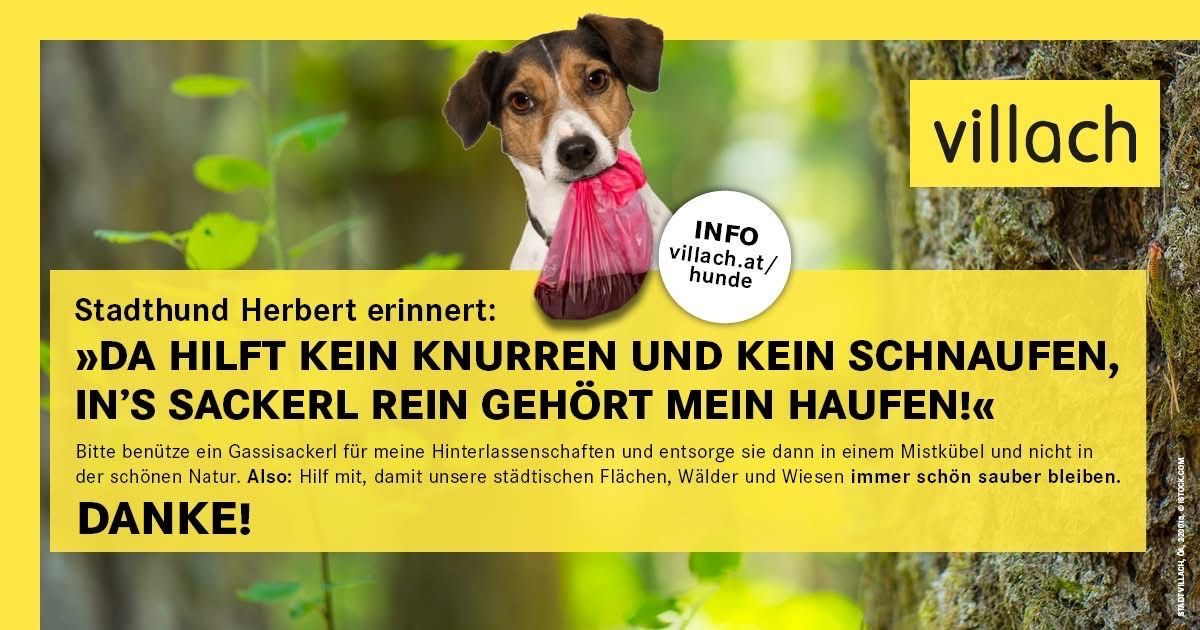 Ein Poster zeigt einen Hund mit einem Beutel, der Kot hält, und erinnert daran, nach Hunden aufzuräumen. Es erwähnt die Verwendung von Beuteln für Hundekot und die Sauberhaltung von Städten, Wäldern und Wiesen.