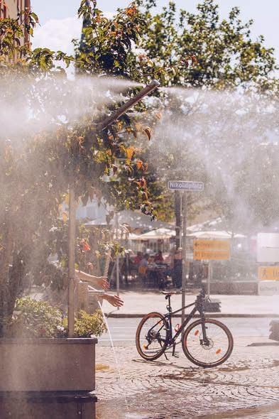 Ein Fahrrad ist auf einer Kopfsteinpflasterstraße in der Nähe eines Baumes mit einem Straßenschild, das Nikoloplatz liest, geparkt. Eine Person hält einen Wassersprüher und sprüht Wasser auf den Baum.