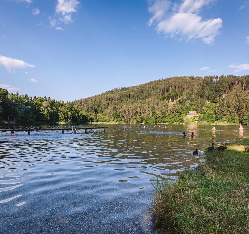 A serene lake with several people swimming in the water. A bridge extends from the shore, and the water reflects the blue sky with white clouds.