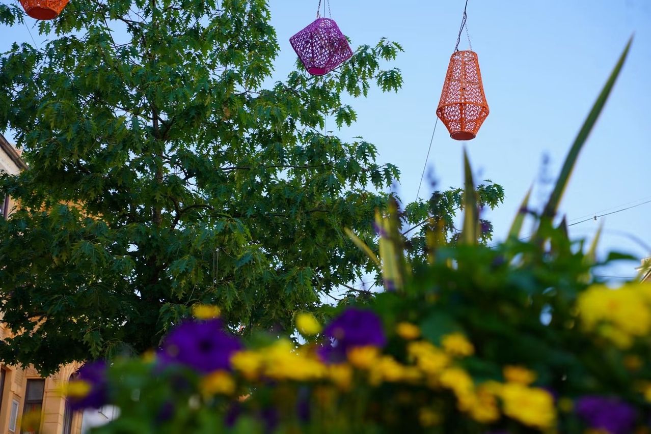 Zwei bunte hängende Körbe schaukeln sanft im Wind unter einem blattreichen Baum. Die lila und orange Körbe kontrastieren mit den lebhaften lila und gelben Blumen darunter.