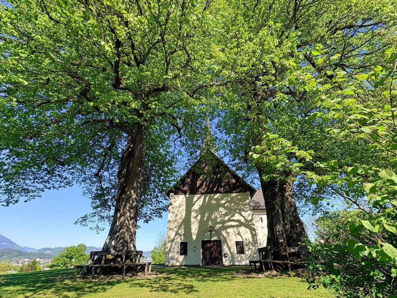Eine kleine weiße Kirche mit einem Kirchturm befindet sich an einem sonnigen Tag im Schatten zweier großer Bäume. Auf beiden Seiten der Kirche sind Holzbänke aufgestellt.