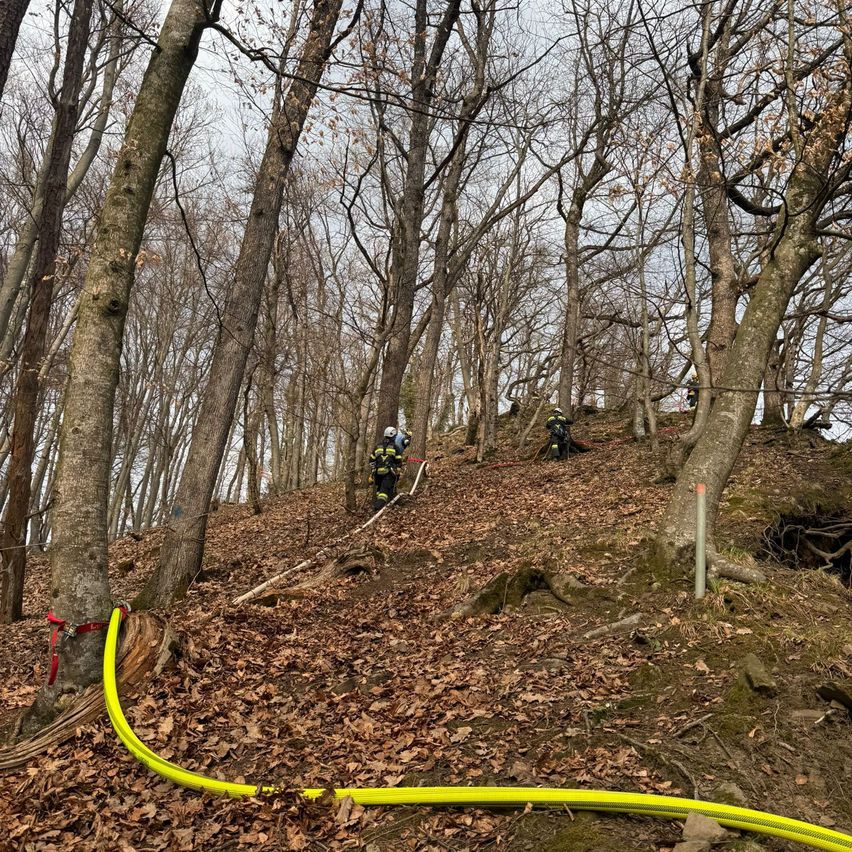 Ein Rettungsteam navigiert einen Waldpfad mit einem gelben Seil. Das Team ist mit Sicherheitsausrüstung ausgestattet. Bäume umgeben den Pfad, und der Boden ist mit abgefallenen Blättern bedeckt.