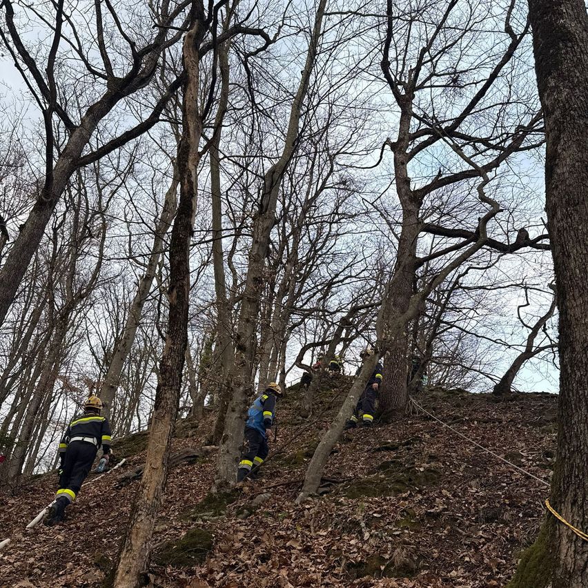 Feuerwehrleute navigieren einen steilen bewaldeten Hügelhang, ausgestattet mit Seilen und Sicherheitsausruestung, unter einem bewoelkten Himmel.