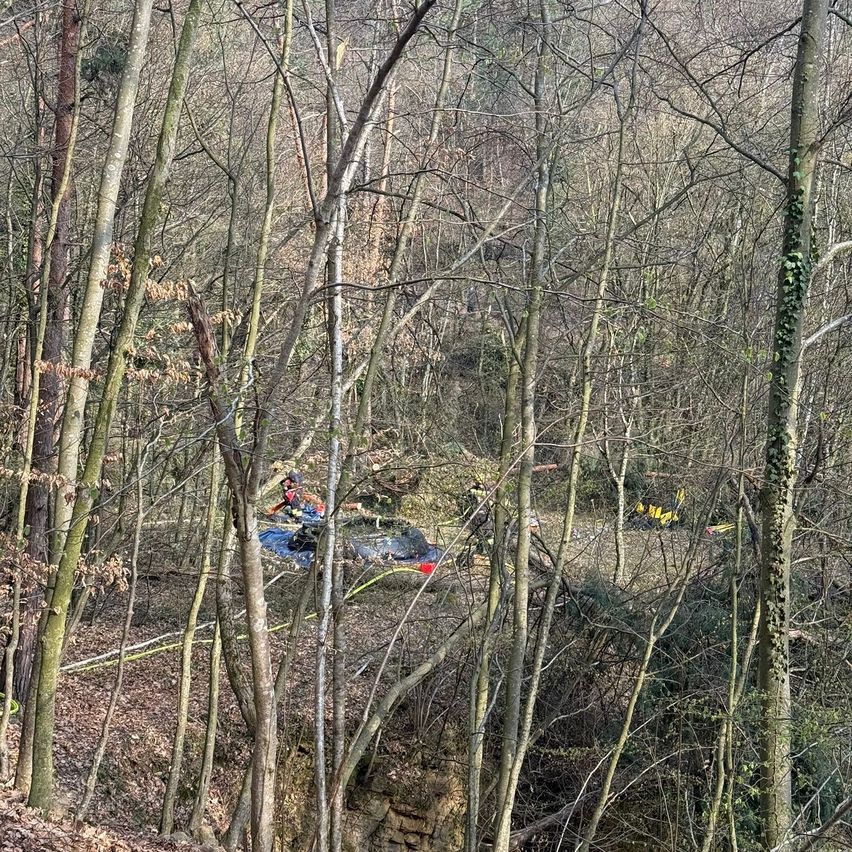 Eine Rettungsaktion in einem dichten Wald. Personen in Rot und Gelb sind in der Nähe eines blauen Objekts auf dem Boden. Bäume umgeben das Gebiet.