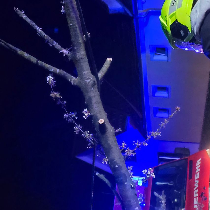 Ein Feuerwehrmann in einem gelben Helm steht neben einem Baum, mit blauen Lichtern, die sich in einem Gebäude spiegeln.