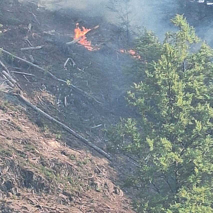 Ein Hang ist zu sehen, in dessen Mitte ein Feuer brennt, umgeben von Rauch und verkohltem Holz.