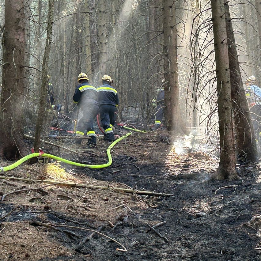 Feuerwehrleute sind in einem Wald mit einer Feuerwehrspritze, tragen Schutzausrüstung. Der Boden ist verkohlt, und Rauch steigt von den Bäumen auf.