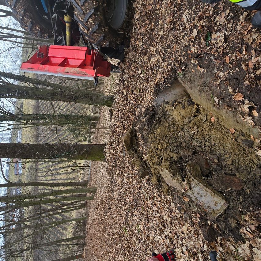Ein rotes landwirtschaftliches Gerät steht neben einem umgestürzten Baumstamm, wobei Boden und Blätter den Boden bedecken. Ein Traktor ist im Hintergrund teilweise zu sehen.