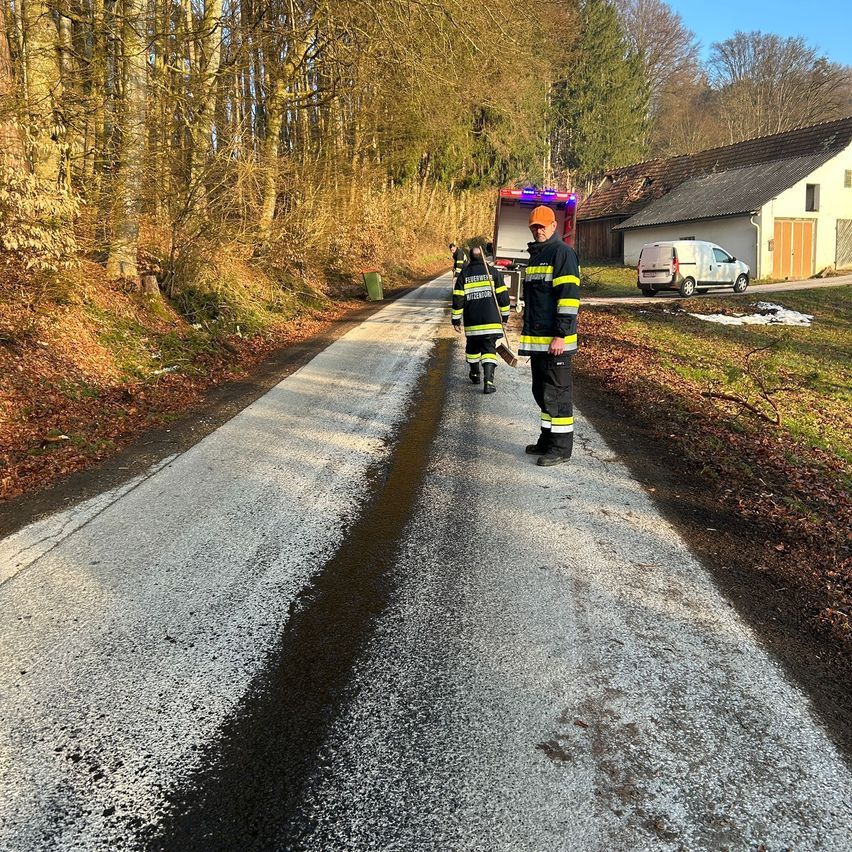 Feuerwehrleute gehen eine Straße entlang, wo ein Feuerwehrwagen geparkt ist, ein weißer Van ist vor einem Haus geparkt.