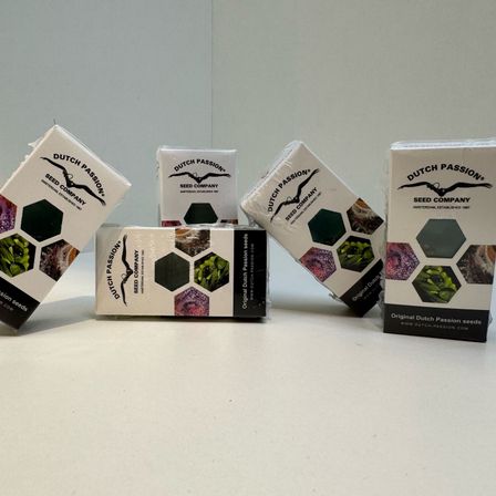 Fünf Schachteln mit Dutch Passion Samen sind auf einer weißen Oberfläche angeordnet. Jede Schachtel hat ein sechseckiges Muster und ein Vogellogo. Die Schachteln sind in verschiedenen Größen und Farben.