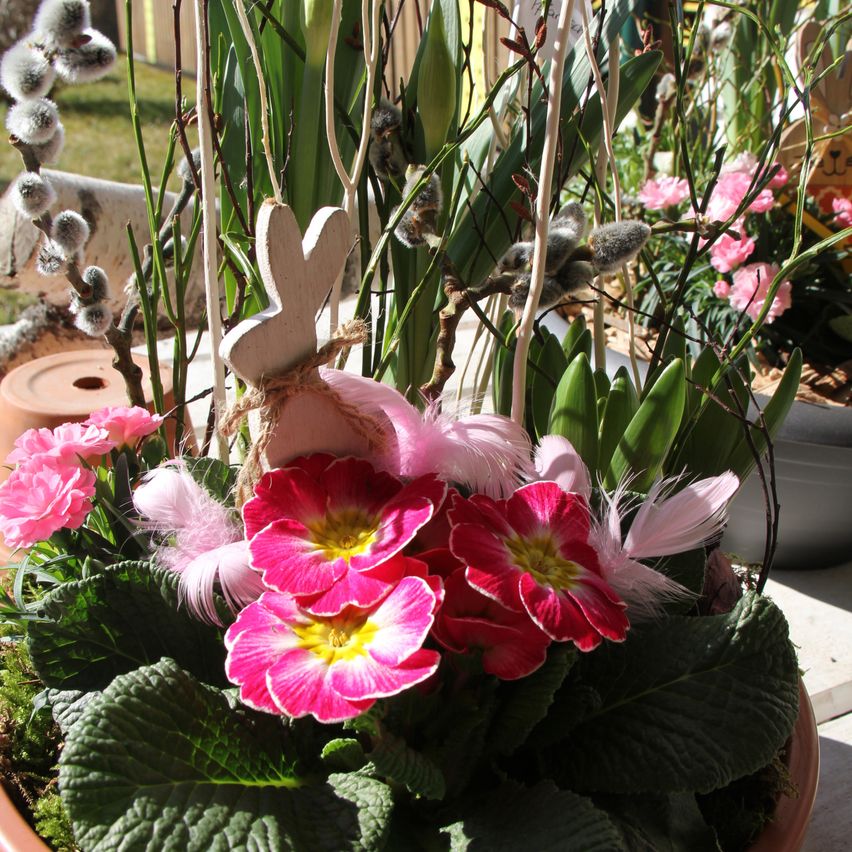 Ein Topf mit rosa und roten Blumen und einer weißen Hasenfigur. Die Pflanze hat grüne Blätter und rosa und weiße Federn. Die Hasenfigur ist auf der Pflanze. Im Hintergrund befinden sich weitere Pflanzen mit rosa Blüten.