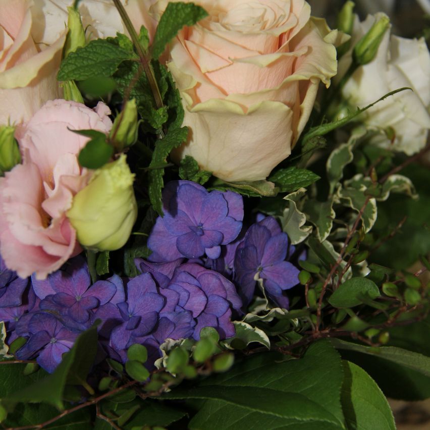 A close-up view of a floral arrangement featuring pink and white roses, purple hydrangeas, and green leaves. The roses are prominent, with soft petals.