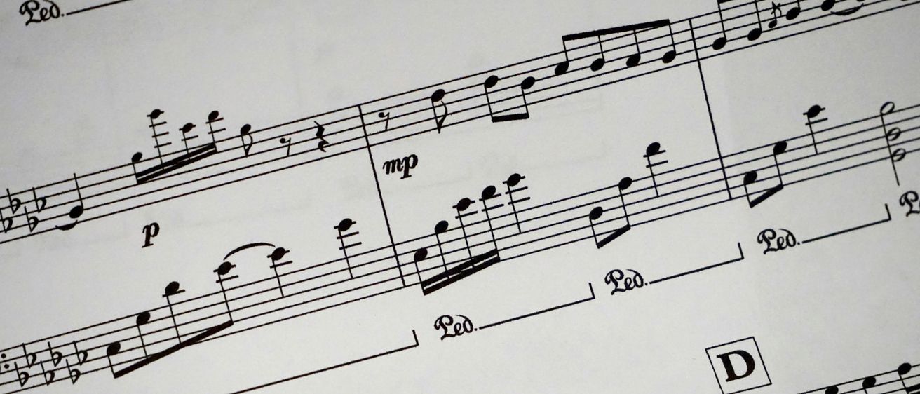 Bild enthält, Guitar, Musical Instrument, Sheet Music, Animal, Bird