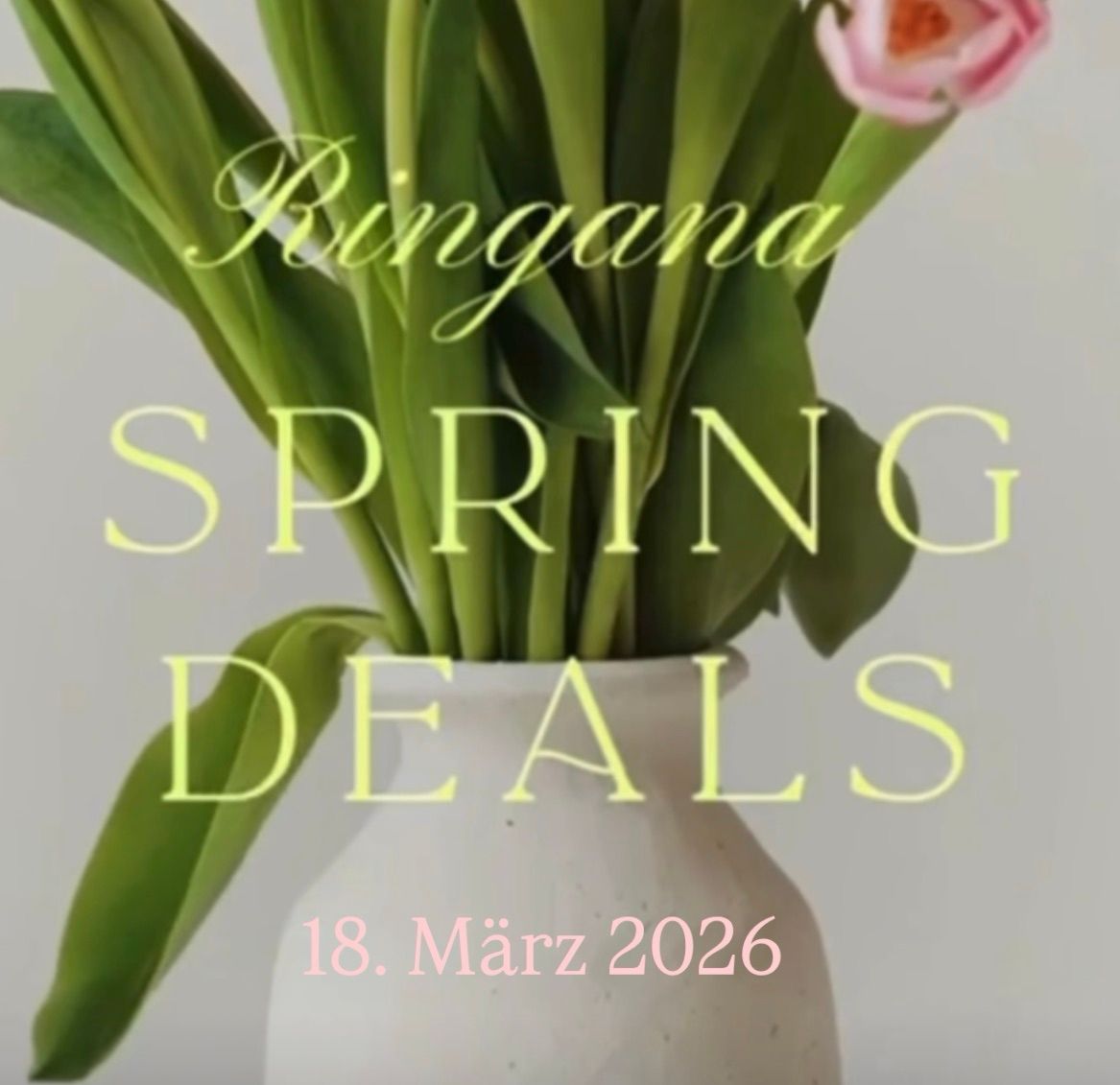 Eine Anzeige für Ringana Frühlingsangebote mit einem Strauß Tulpen in einer Vase. Das Datum ist der 18. März 2026.