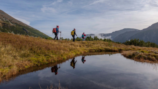 v1_migrated_image_22732086