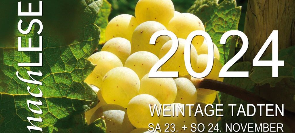 Bild enthält, Food, Fruit, Grapes, Plant, Produce, Pear