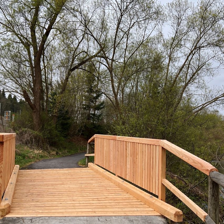 Eine Holzrampe führt zu einer von Bäumen und Sträuchern umgebenen Holzbrücke. Die Brücke besteht aus Holz und hat ein Metallgeländer. Hinter der Brücke ist eine Straße zu sehen.