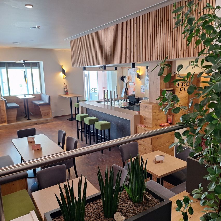 A modern restaurant with wooden walls, a bar counter, and various tables and chairs. There are potted plants and a large window on the left.