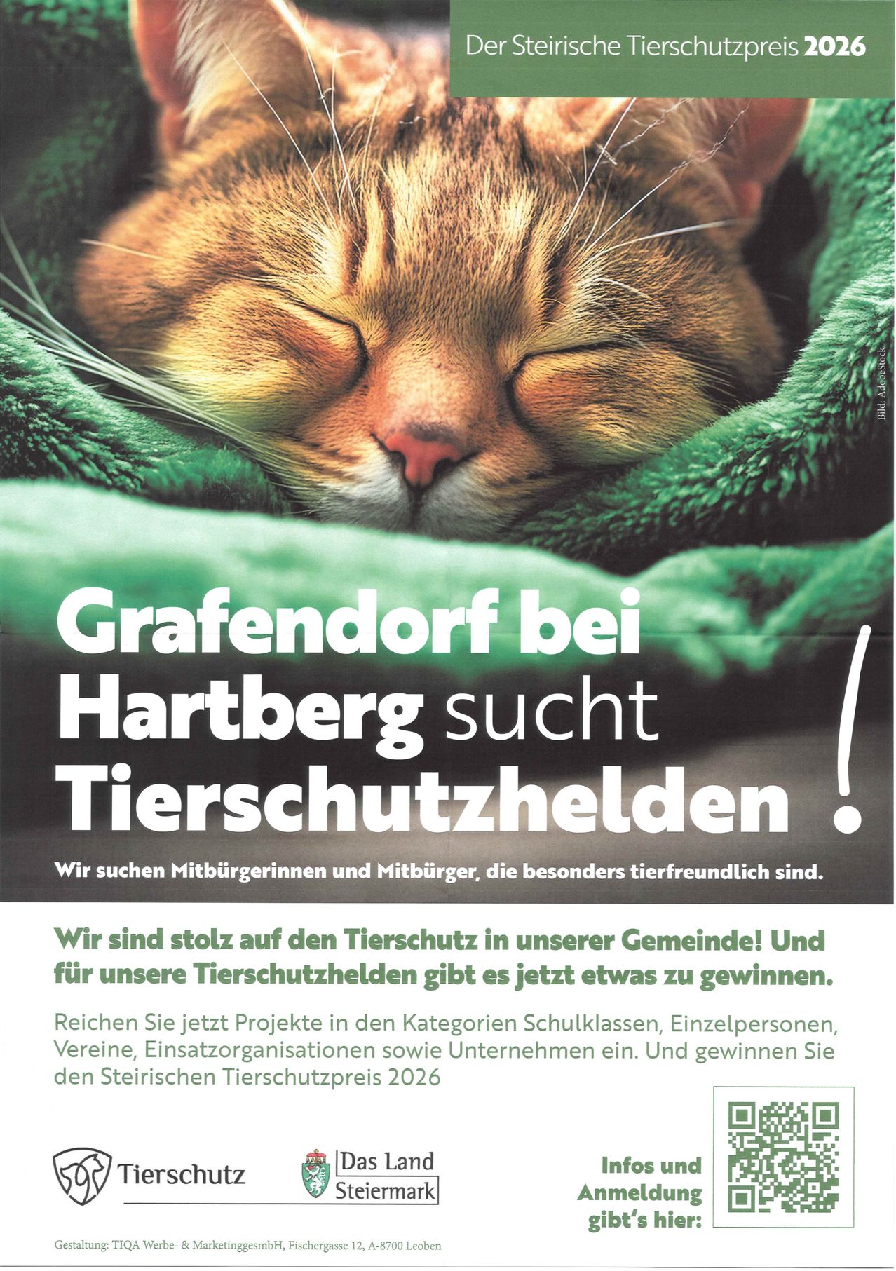 An advertisement featuring a sleeping cat wrapped in a green blanket with the text 'Grafendorf bei Hartberg seeks animal protection heroes!' and additional information about a community animal protection prize.