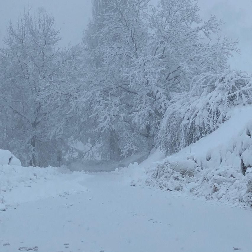 Eine verschneite Straße, umgeben von schneebedeckten Bäumen. Die Straße scheint sich in einem Berggebiet zu befinden.