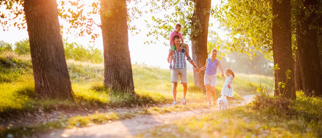 Eine vierköpfige Familie geht auf einem grasigen Pfad in einem sonnigen Park. Ein Mann trägt ein Kind auf seinen Schultern, eine Frau hält die Hand eines jungen Mädchens und ein weißer Hund folgt. Bäume säumen den Pfad.