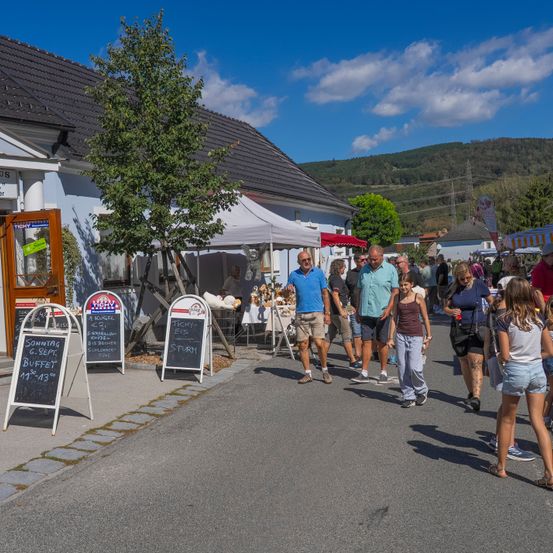 Ein geschäftiger Straßenmarkt mit Menschen, die gehen und einkaufen. Ein Baum und Schilder im Vordergrund, mit einem Gebäude und Bergen im Hintergrund.