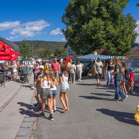 Ein geschäftiger Outdoor-Markt mit Menschen, die unter Schirmen und Bäumen auf einem sonnigen Tag einkaufen und spazieren.