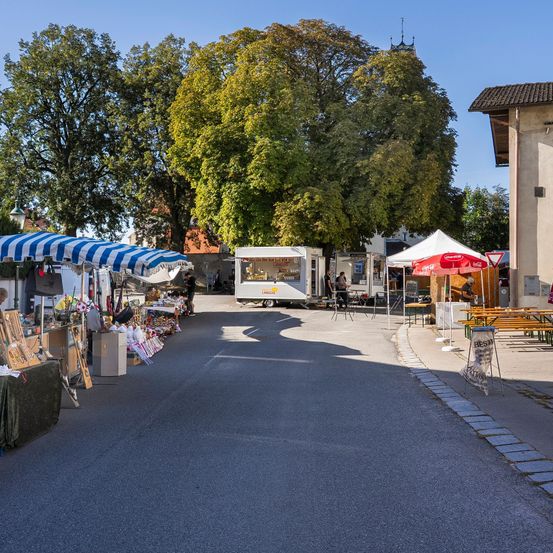 Ein Straßenmarkt mit verschiedenen Ständen unter blau-weiß gestreiften Sonnenschirmen, umgeben von Bäumen und Gebäuden. Ein weißer Imbisswagen ist geparkt und Leute sitzen an Tischen unter einem roten Schirm.