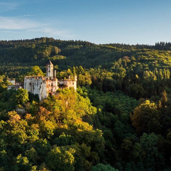 Ein Luftbild einer alten Burg auf einem felsigen Hügel, umgeben von üppigem grünem Baumbestand unter einem klaren blauen Himmel.