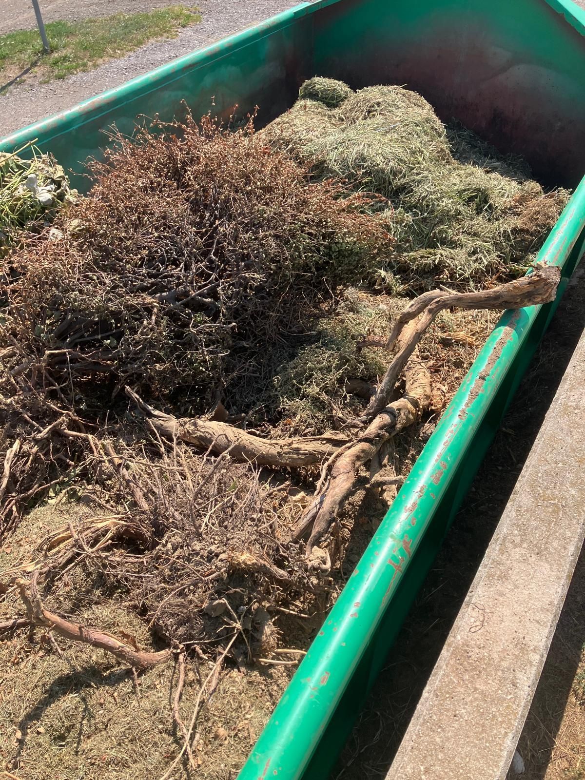 Ein grüner Container gefüllt mit trockenen Zweigen und Gras, möglicherweise zur Entsorgung oder zum Recycling.