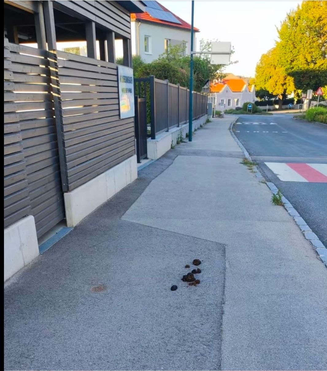 Ein Bürgersteig mit einer Holzzaun und einem Schild darauf. Es gibt einige kleine schwarze Objekte auf dem Beton. Eine Straße ist auf der rechten Seite mit einem Verkehrsschild.