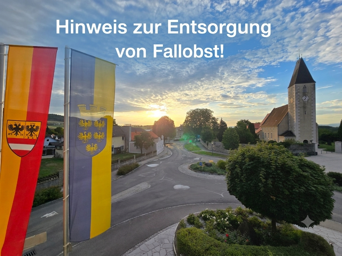 Eine Fahne mit Wappen steht vor einer Dorfstraße, mit einem Sonnenuntergang im Hintergrund. Der Text lautet 'Hinweis zur Entfernung von Fallobst!' in Deutsch.