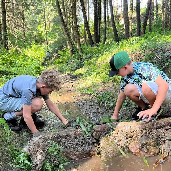 Zwei Jungen hockten sich an einem schlammigen Bach im Wald, einer der Jungen greift ins Wasser, während der andere etwas auf einem Baumstamm betrachtet.