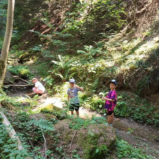 Drei Kinder erkunden einen Waldpfad, eines hockt neben einem Bach, ein anderes hält eine Blume und das dritte steht auf einem moosbedeckten Felsen.