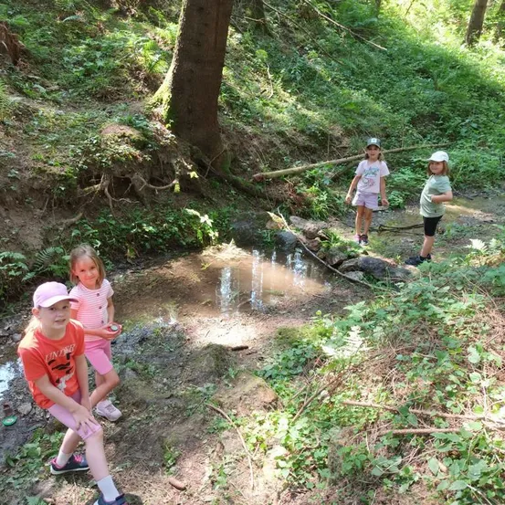 Vier junge Mädchen erkunden einen Waldpfad. Ein Mädchen sitzt an einem kleinen Bach, während zwei andere auf einem felsigen Pfad stehen. Das vierte Mädchen geht entlang des Baches.