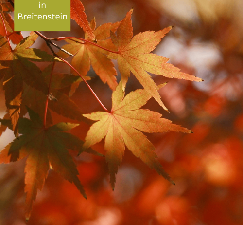 Herbstblätter in Breitenstein, Deutschland, sind lebendig mit orangen und roten Farbtönen, mit einem grünen Textüberlager, der 'in Breitenstein' lautet.