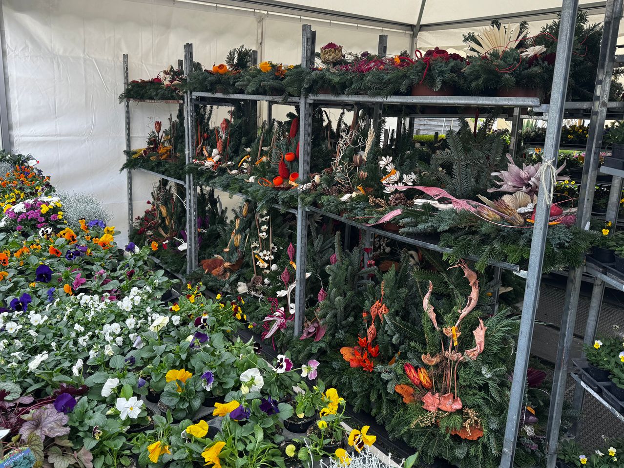 Bild enthält, Flower, Flower Arrangement, Garden, Nature, Outdoors, Flower Bouquet, Geranium, Potted Plant, Gardening, Petal