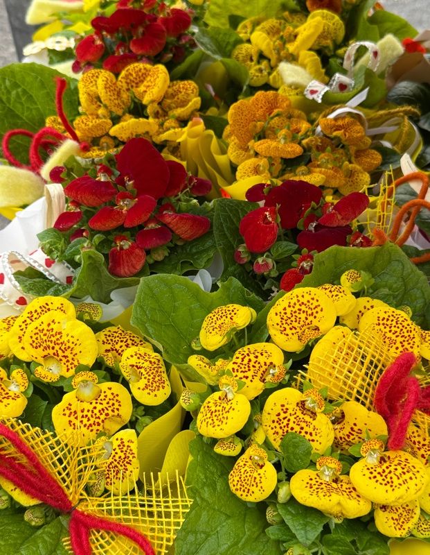 A vibrant arrangement of yellow and red flowers with spotted petals, wrapped in yellow mesh and tied with red ribbons, displayed on a market stall.