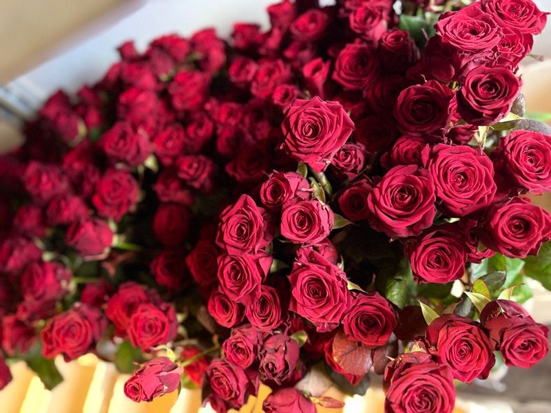 A close-up view of a large bouquet of red roses with some green leaves visible, arranged neatly in a container.