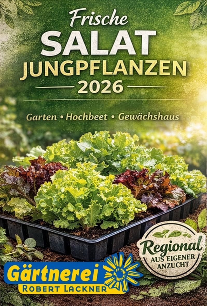 Die Titelseite eines Gartenkatalogs mit Jungpflanzen. Es zeigt eine lebhafte Anordnung von Salatkräutern in verschiedenen Wachstumsstadien. Der Text lautet 'SALAT JUNGPFLANZEN 2026' und umfasst Kategorien wie 'Garten', 'Hochbeet' und 'Gewächshaus'. Unten ist ein Logo für 'Regional' zu sehen.
