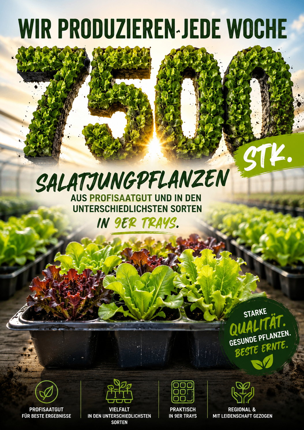 Poster with a green background and plants. The poster shows 7500 lettuce seedlings in trays. Available in various varieties. High quality plants. Best harvest.