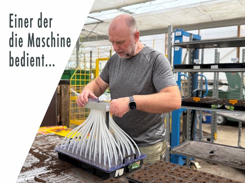 Ein Mann bedient eine Maschine in einem Gewächshaus und konzentriert sich auf ein weißes Gerät. Er trägt ein graues T-Shirt, Shorts und eine Uhr. Im Hintergrund sind Regale und Pflanzen zu sehen.