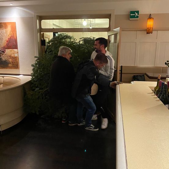 Bild enthält, Potted Plant, Lighting, Pants, Floor, Person, Portrait, Interior Design, Adult, Male, Man