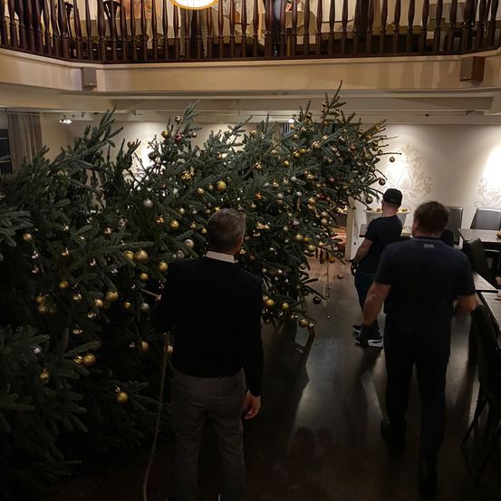 Bild enthält, Lighting, Adult, Male, Man, Person, Christmas, Christmas Decorations, Festival, Christmas Tree, Face